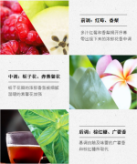 古驰(GUCCI)送女友节日礼物生日礼物
