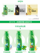 飘柔洗发水兰花长效清爽家庭装1L（去屑控油 男士女士通用 花