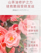 丝蕴(syoss)山茶油滋养修护洗护套装改善染烫受损男女士洗