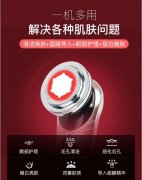 金稻美容仪 家用洗脸仪洁面仪脸部眼部按摩清洁面部李佳琪琦推荐
