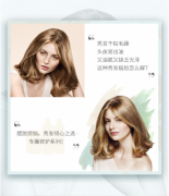 施华蔻专业专属修护发膜1L （护发素修护受损干枯毛躁 无硅蓬