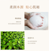 雪花秀(SULWHASOO) 洗面奶顺行氨基酸洁面乳200m