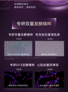 欧莱雅(LOREAL)全新第三代黑精华青春密码酵素精华肌底液