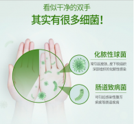 蓝月亮 芦荟抑菌洗手液 500g瓶+500g瓶装补充液 清洁