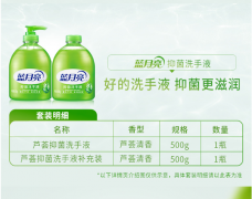 蓝月亮 芦荟抑菌洗手液 500g瓶+500g瓶装补充液 清洁