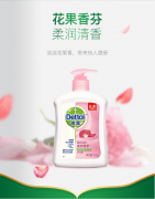 滴露Dettol健康抑菌洗手液滋润倍护500g+500g瓶装