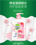 滴露Dettol健康抑菌洗手液滋润倍护500g+500g瓶装